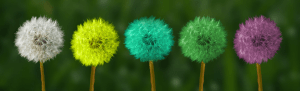 Being versatile in your career
