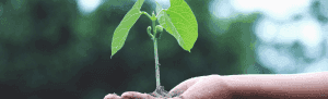 Taking Charge of your own Growth